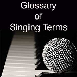Read more about the article Vocal Terminology